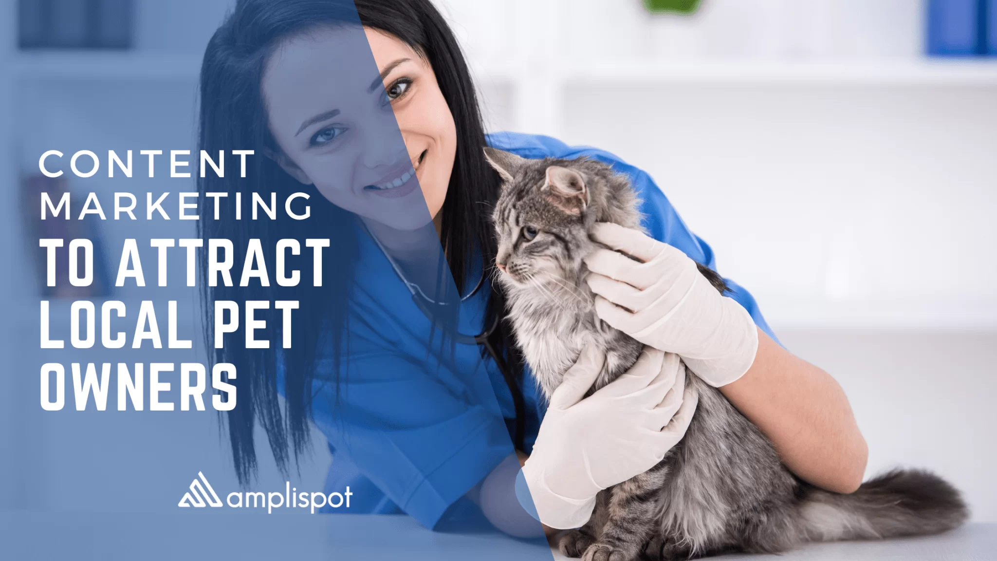 Content Marketing To Attract Local Pet Owners
