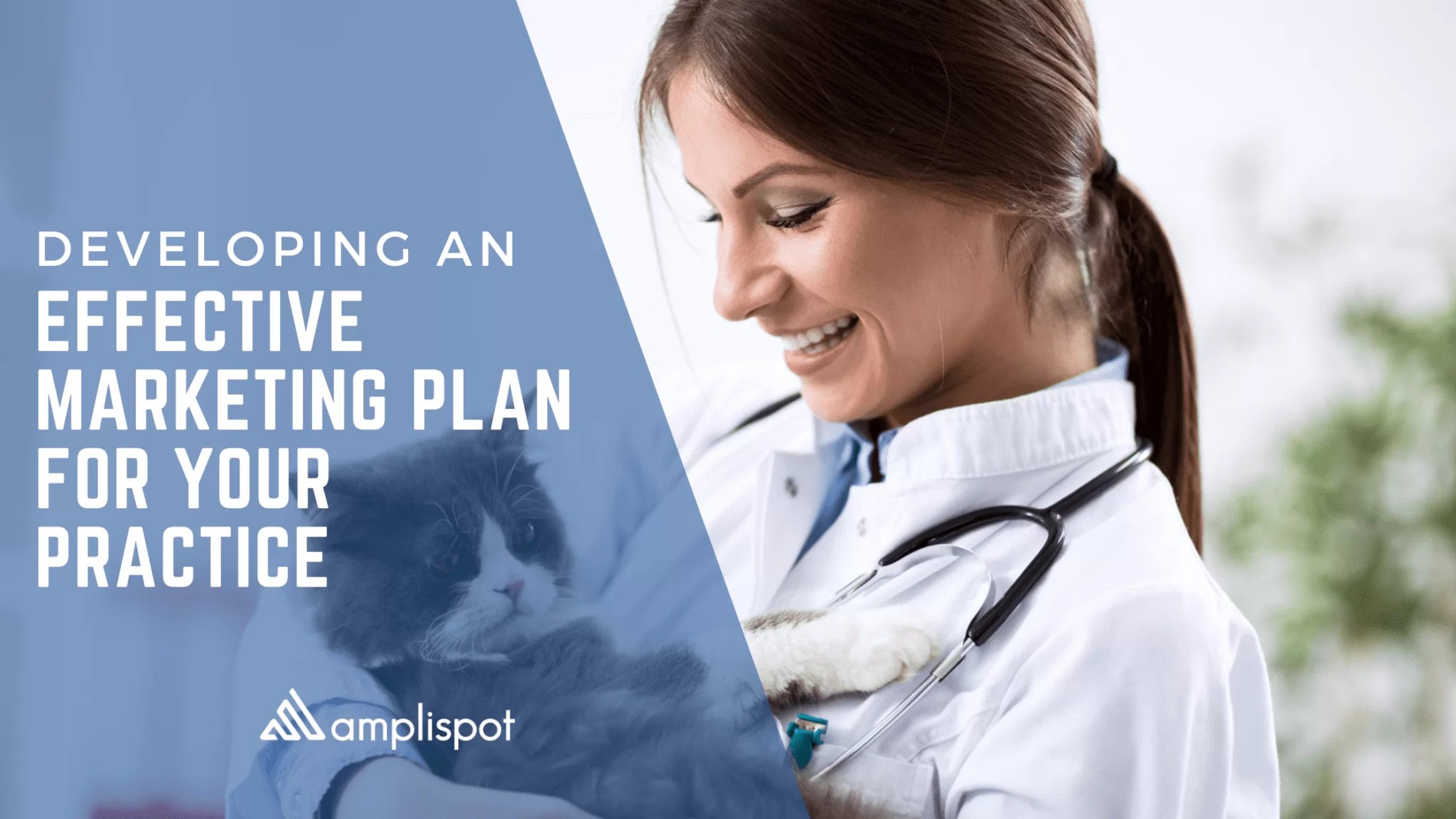Developing An Effective Marketing Plan for Your Practice