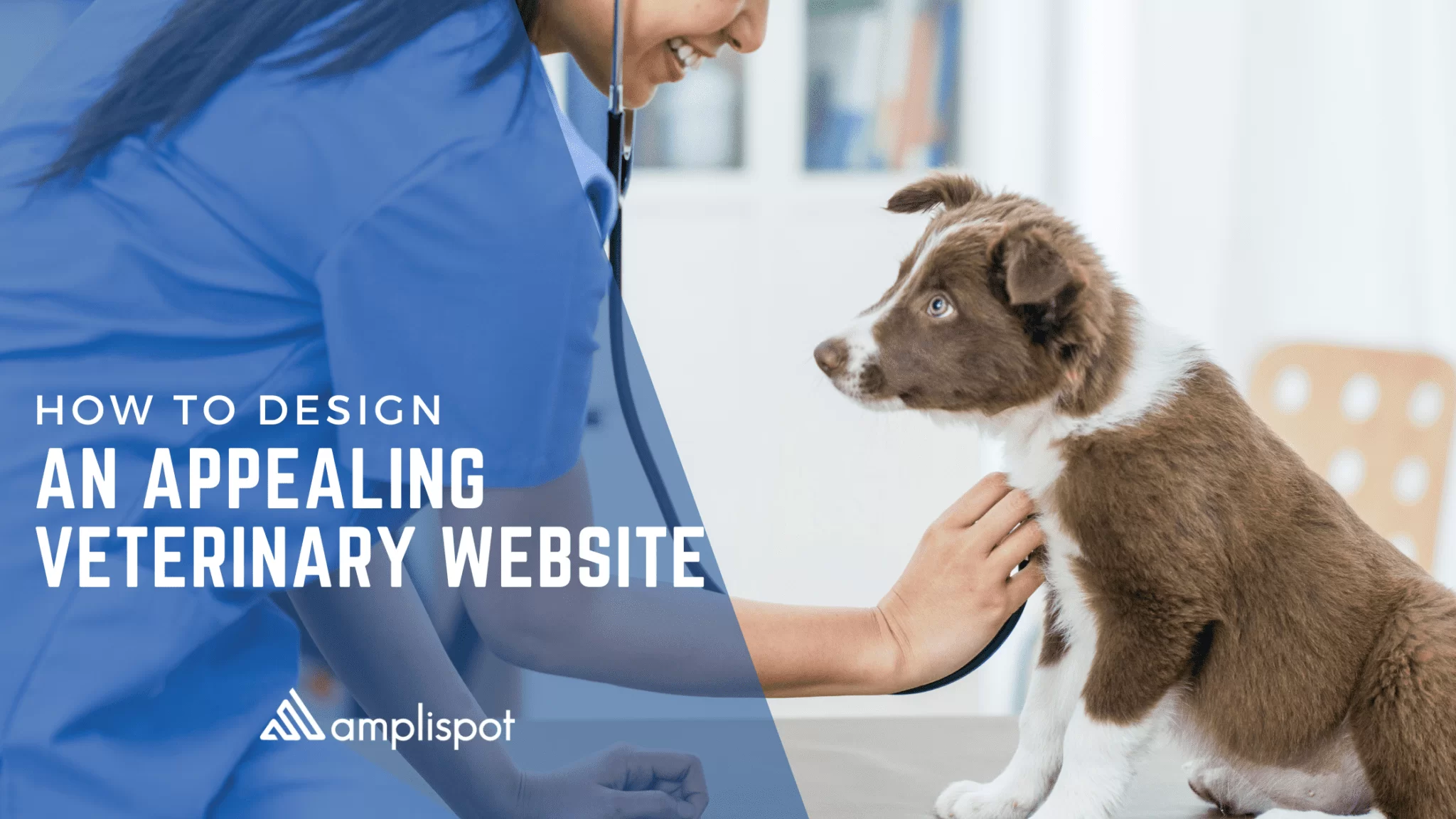 How to Design An Appealing Veterinary Website