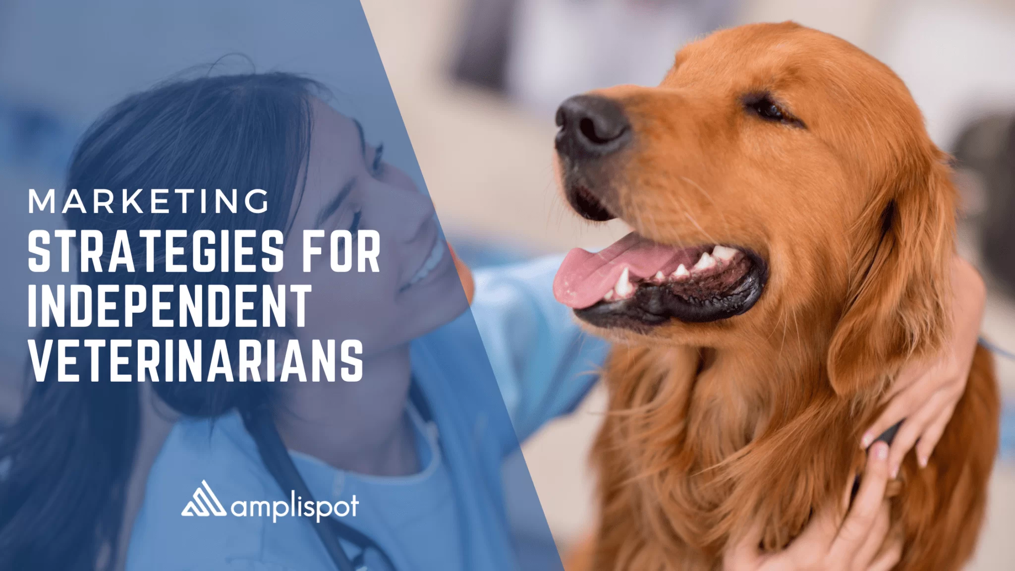 Marketing Strategies for Independent Veterinarians