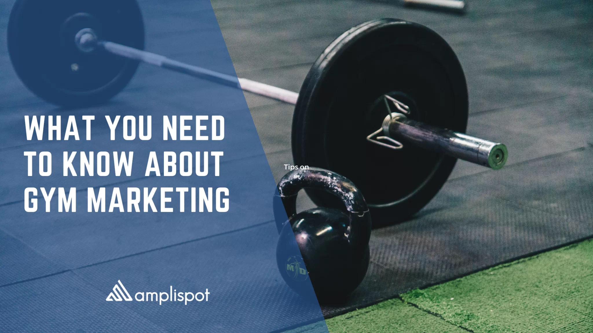 What You Need to Know About Gym Marketing
