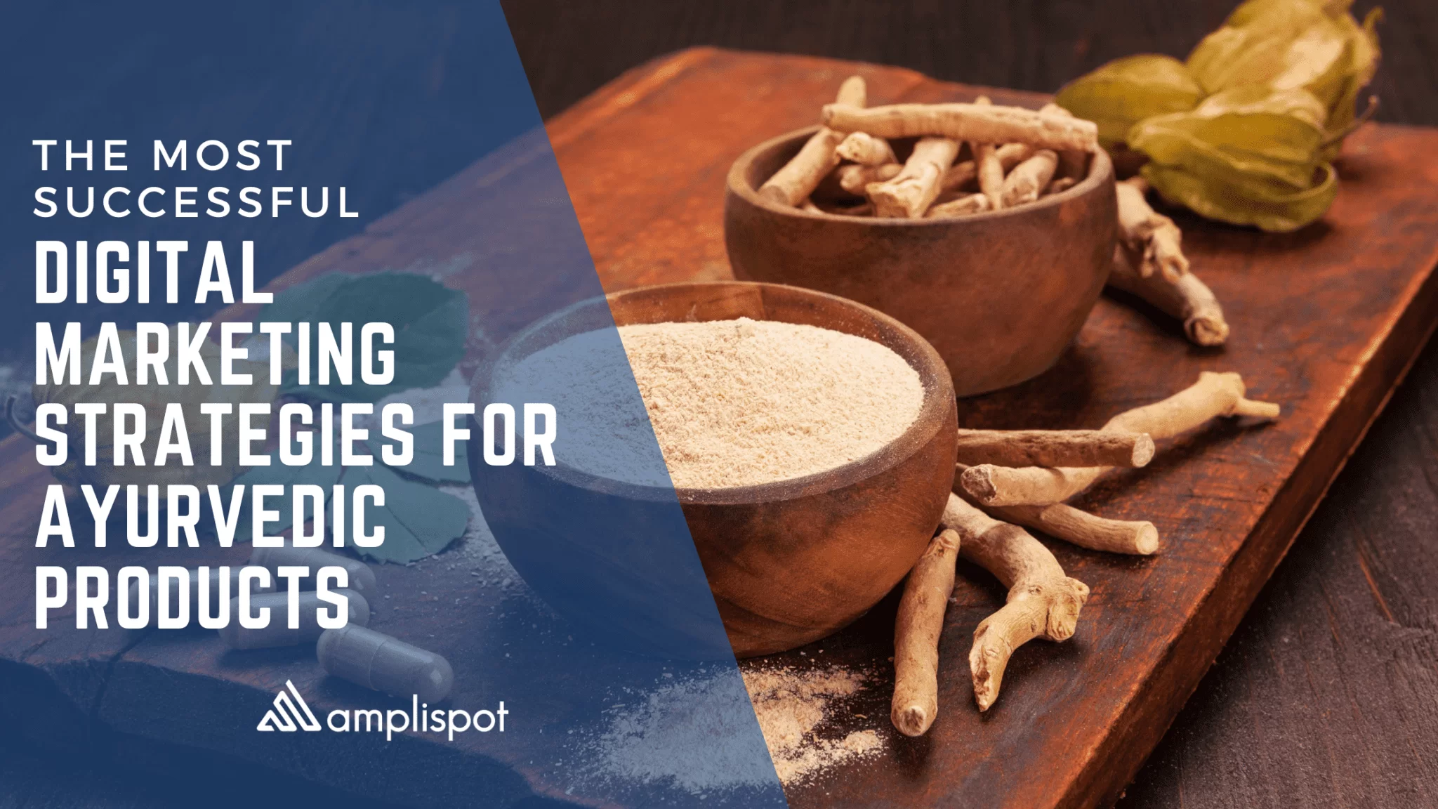The Most Successful Digital Marketing Strategies For Ayurvedic Products