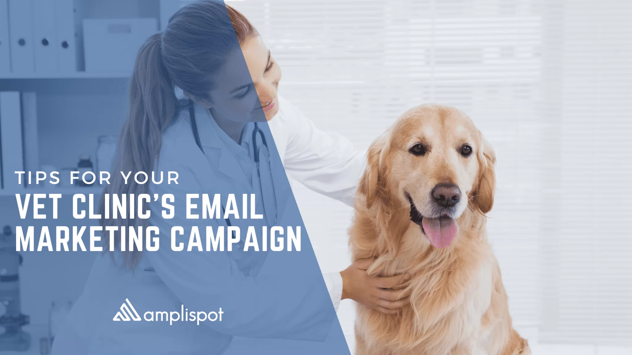 Tips For Your Vet Clinic's Email Marketing Campaign
